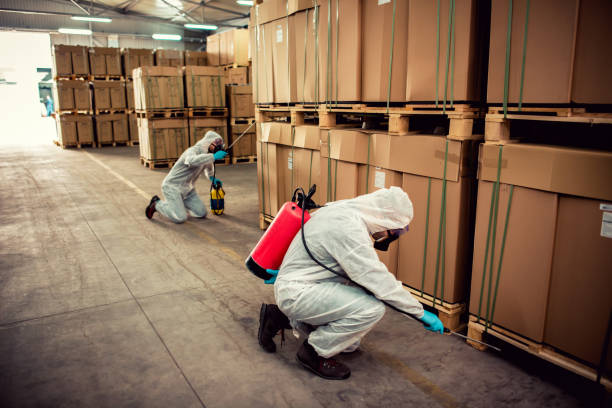 Best Exterminator Services  in South Haven, IN