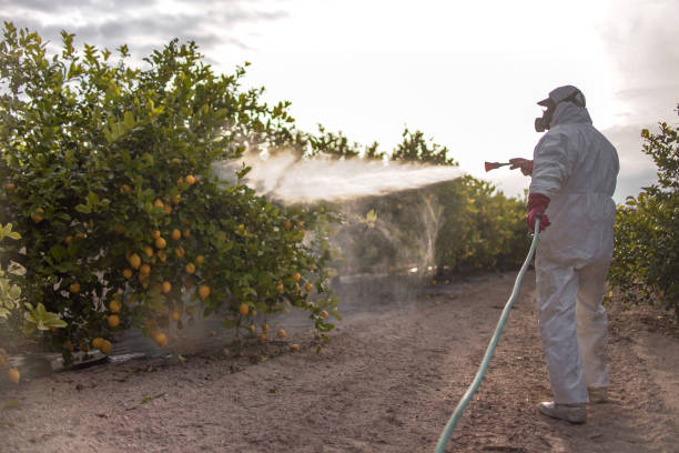 Best Emergency Pest Control  in South Haven, IN