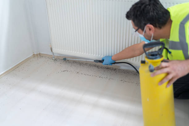 Best Mosquito Control Services  in South Haven, IN